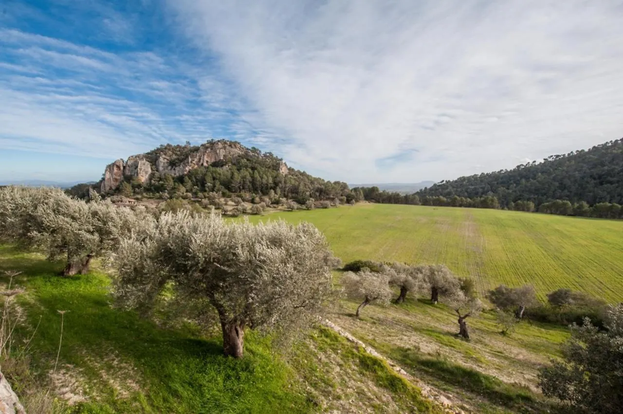 Can Besso Mancor De La Vall Mancor del Valle 0*,  Spanien